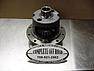 TRAC LOK POSITRACTION FORD 8.8" 31 SPLINE