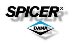 DANA SPICER - Upper and lower ball joint kit for Dana 50 & 60 (DS 700238-2)