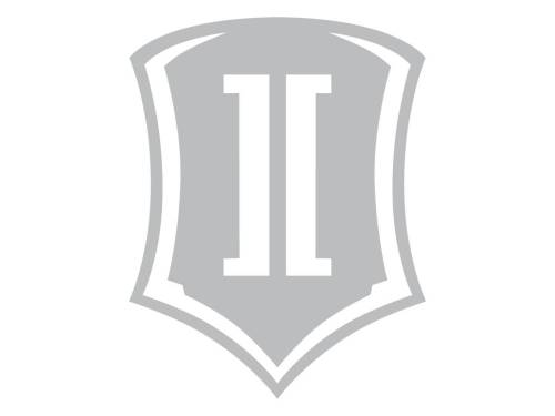 Icon Vehicle Dynamics - ICON Vehicle Dynamics 15 IN SHIELD SILVER - STICKER-SHIELD 15 IN S