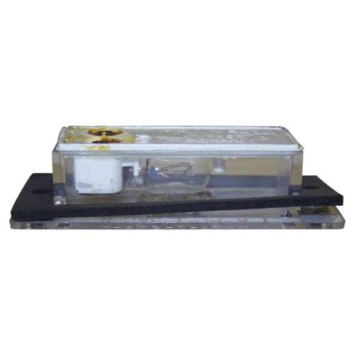 Crown Automotive Jeep Replacement - Crown Automotive Jeep Replacement License Plate Light - J3670544