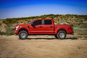 Icon Vehicle Dynamics - ICON Vehicle Dynamics 21-23 F150 TREMOR 2.5-3" 2.5 VS RR CDEV COILOVER KIT - 91824E - Image 8