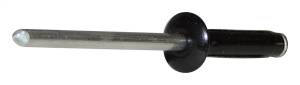 Crown Automotive Jeep Replacement Rivet - 6036148AA