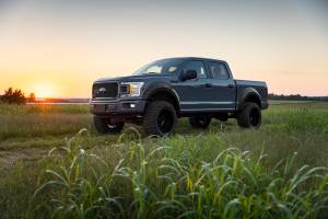 Rough Country - Rough Country Fender Flares Defender BN Silver Spruce Ford F-150 2WD/4WD (2015-2020) - A-F11811-BN - Image 2